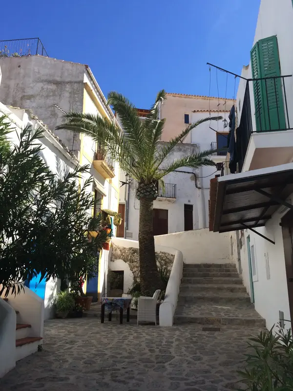 Retraite Ibiza - Photo 21